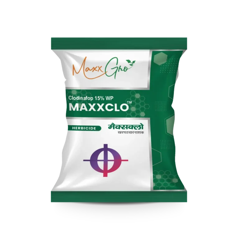 Maxxclo Clodinafop 15% WP herbicide pouch pack by MaxxGro Agrology Limited