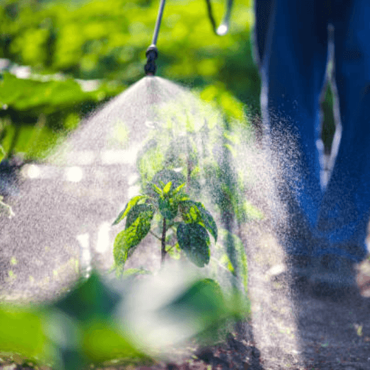 Large agricultural sprayer applying MaxxGro agrochemical solutions in a field, symbolizing mechanized, large-scale crop protection, precision agriculture, and enhanced product efficacy.