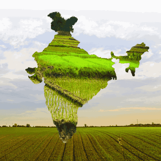 Map of India filled with lush green farmlands and crops, superimposed over an agricultural field, symbolizing MaxxGro's national presence and deep commitment to Indian agriculture and agrochemical solutions.