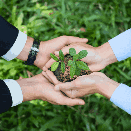 Four diverse hands cradling a small green plant seedling in rich soil against a backdrop of foliage, symbolizing collective environmental stewardship, MaxxGro's commitment to sustainability, and responsible agrochemical use.