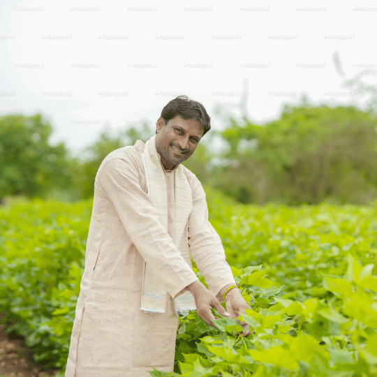 Smiling Indian farmer in traditional attire standing proudly in his healthy green crop field, symbolizing trust, satisfaction, and the success achieved with MaxxGro agrochemical products.