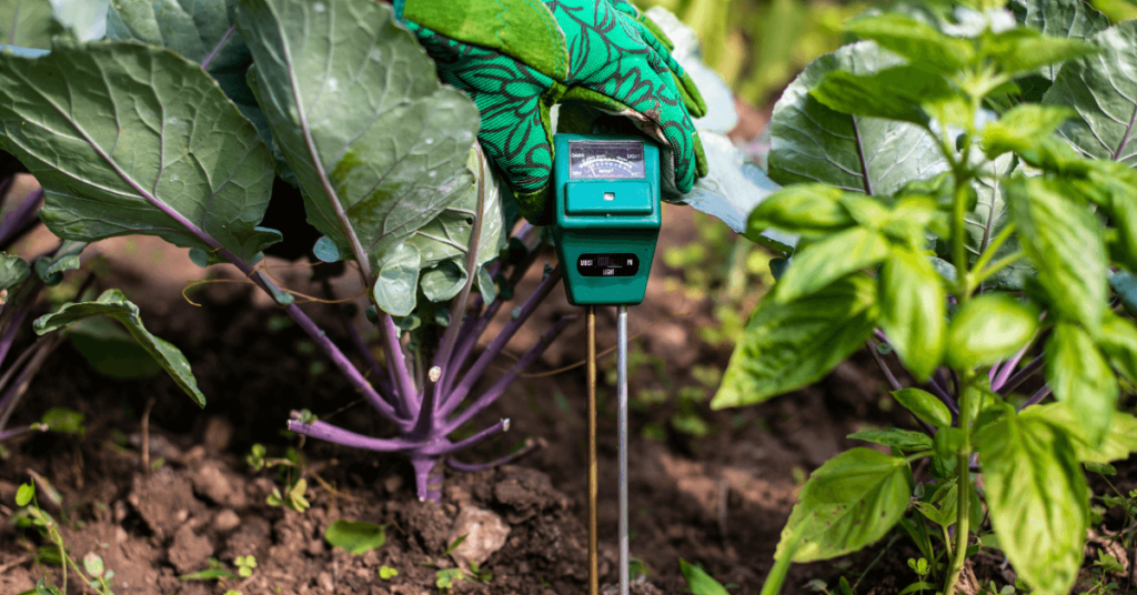 Soil Testing