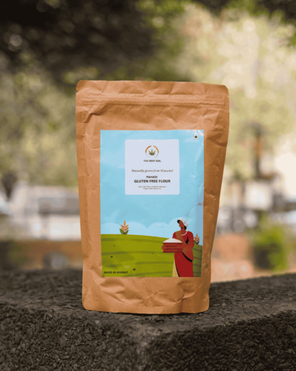 The Deep Soil Pahadi Gluten Free Flour Mix brown paper package on a stone surface with nature background