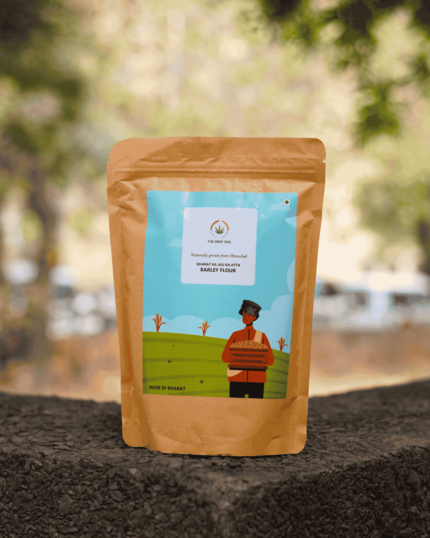 The Deep Soil Gharat Ka Jau Ka Atta Barley Flour brown paper package on a stone surface with nature background