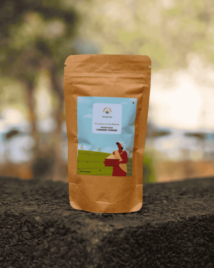 The Deep Soil Pahadi Haldi Turmeric Powder brown paper package on a stone surface with nature background