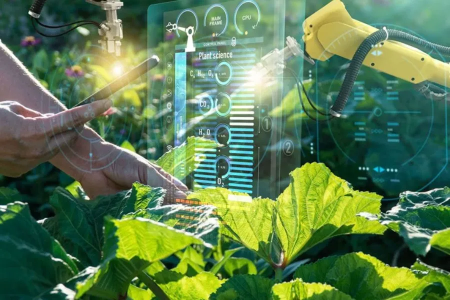 Robotic arms and digital plant science interface monitoring crops, illustrating Maxxgro Agrology Limited's use of precision farming technology to enhance efficiency and operational growth.
