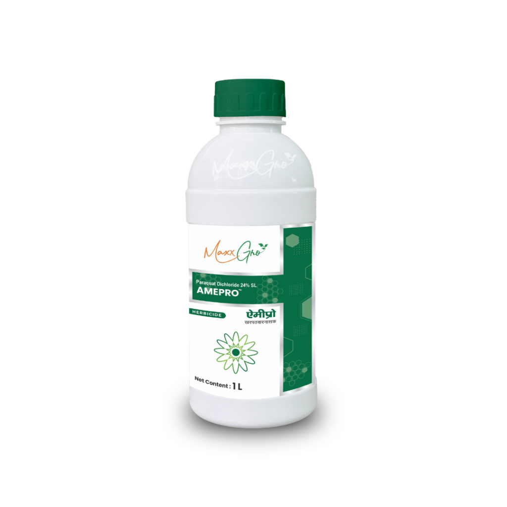 MaxxGro Amepro Paraquat Dichloride 24% SL herbicide 1 litre bottle packaging