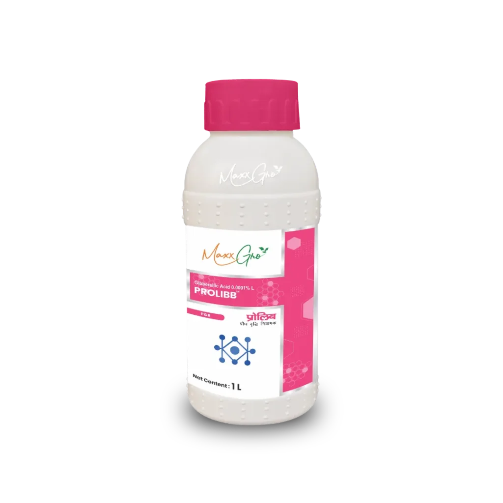 Prolibb Gibberellic Acid 0.001% L plant growth regulator bottle pack by MaxxGro Agrology Limited